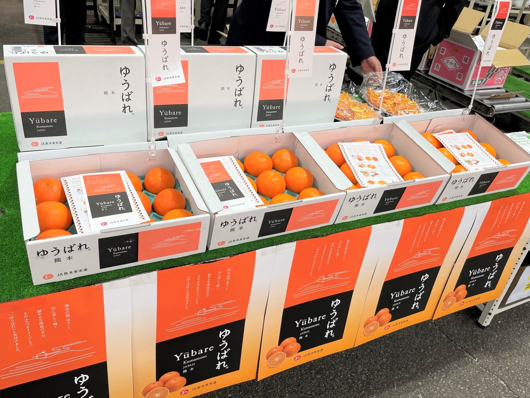 訳あり ゆうばれ 2キロ前後 熊本EC12 待望の新品種 熊本産